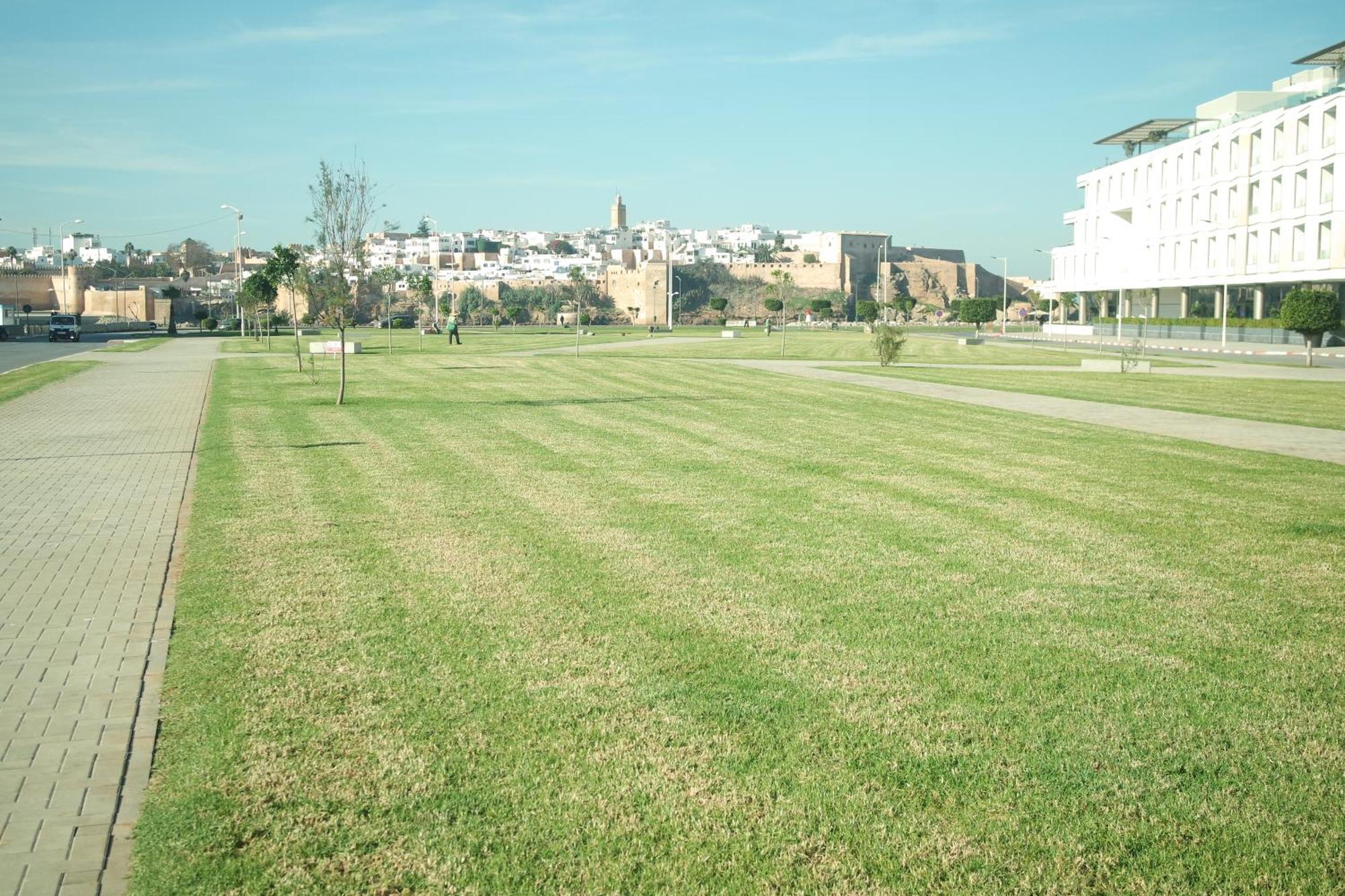 Luxe Serein En Marina Salé Exterior photo